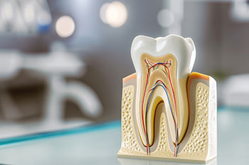 Conway Family Dental Care